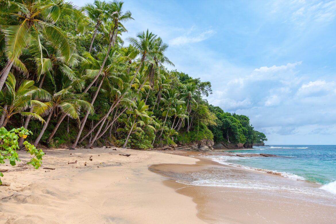 Beach Day Essentials: A Comprehensive Packing List